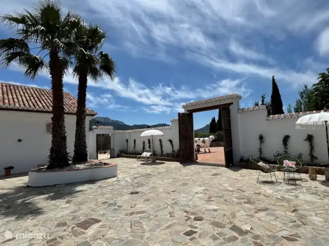 Onze courtyard.